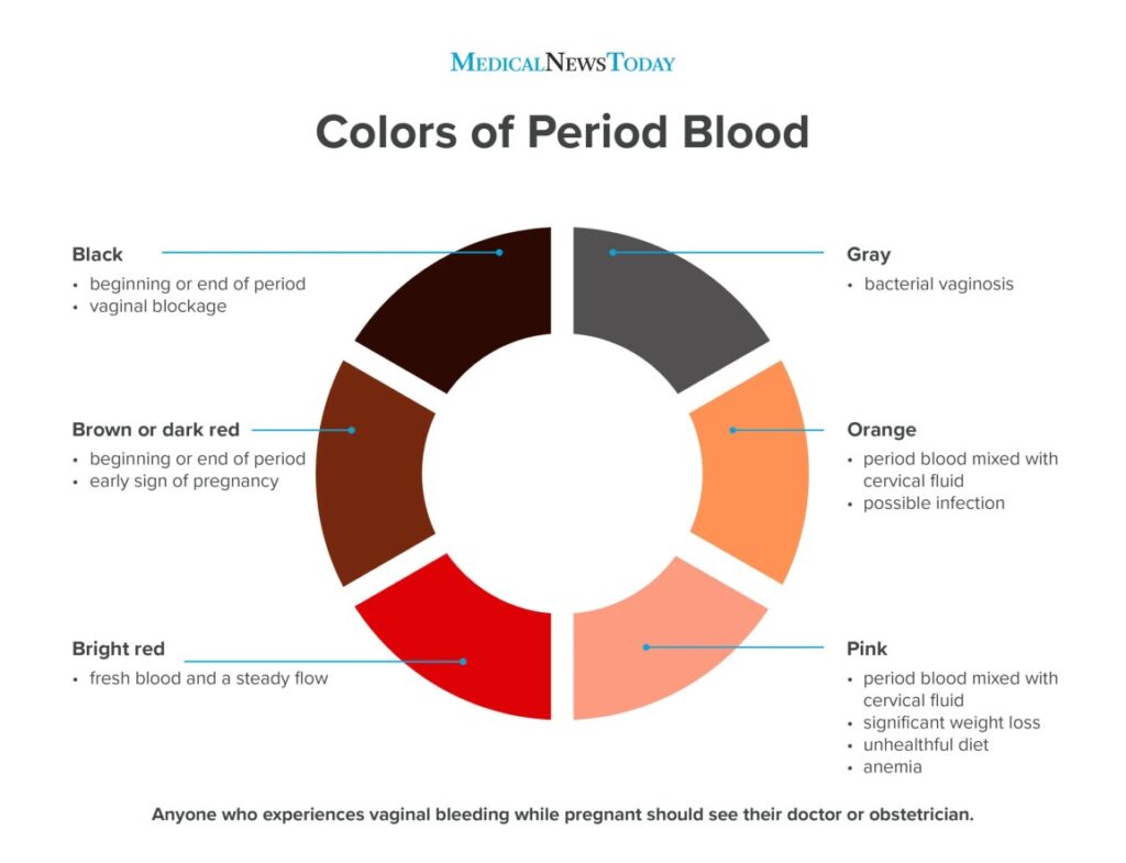 Vaginal Bleeding During Menstruation Is Normal Importance of Medical Evaluation